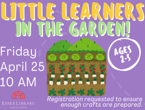 Little Learners: In 
